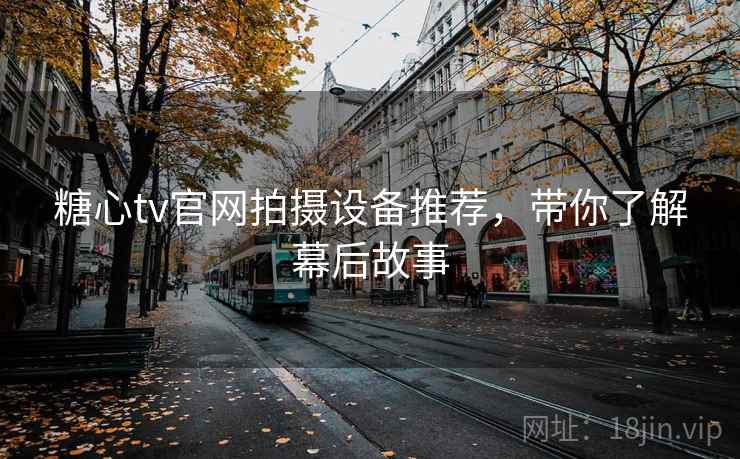 糖心tv官网拍摄设备推荐，带你了解幕后故事  第2张