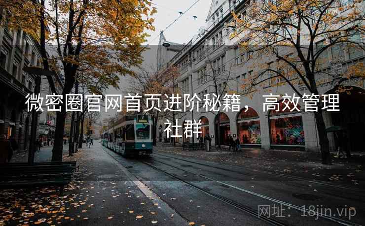 微密圈官网首页进阶秘籍,高效管理社群
