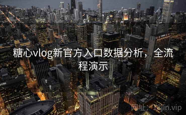糖心vlog新官方入口数据分析，全流程演示