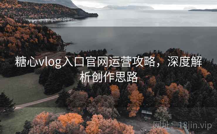 糖心vlog入口官网运营攻略,深度解析创作思路